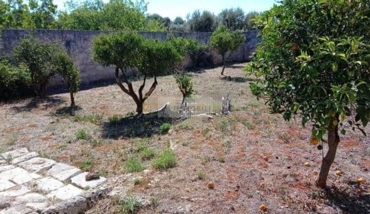 Building for sale in Ostuni, Italy - Image 6