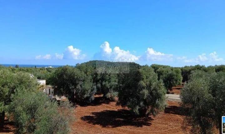 Building for sale in Ostuni, Italy - Image 9