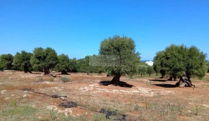 Building for sale in Ostuni, Italy - Image 8