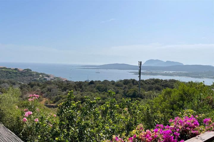 4 bedrooms house for sale in Olbia, Italy - Image 7