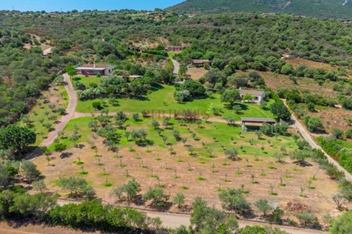 4 bedrooms house for sale in Olbia, Italy - Image 7