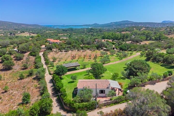 4 bedrooms house for sale in Olbia, Italy - Image 12