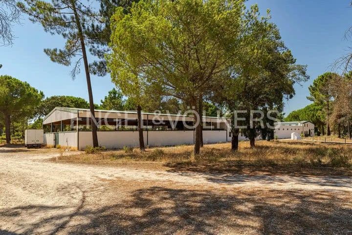 3 bedrooms house for sale in Comporta, Portugal - Image 11