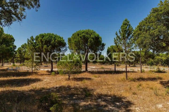 3 bedrooms house for sale in Comporta, Portugal - Image 12