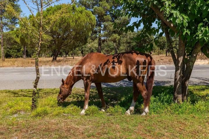 3 bedrooms house for sale in Comporta, Portugal - Image 5