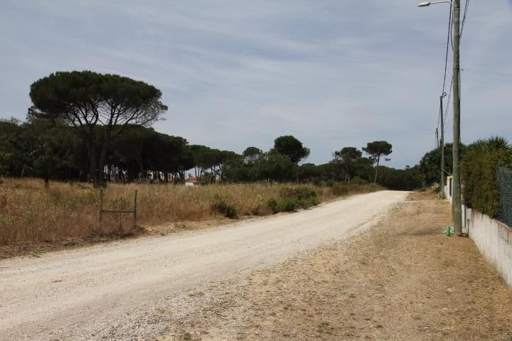 Other for sale in Sesimbra (Castelo), Portugal - Image 3