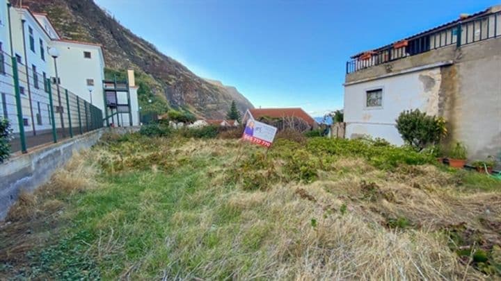 Other for sale in Porto Moniz, Portugal - Image 8