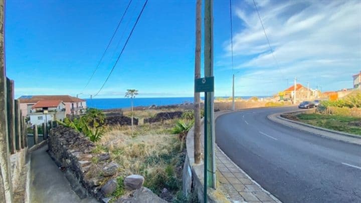 Other for sale in Porto Moniz, Portugal - Image 10