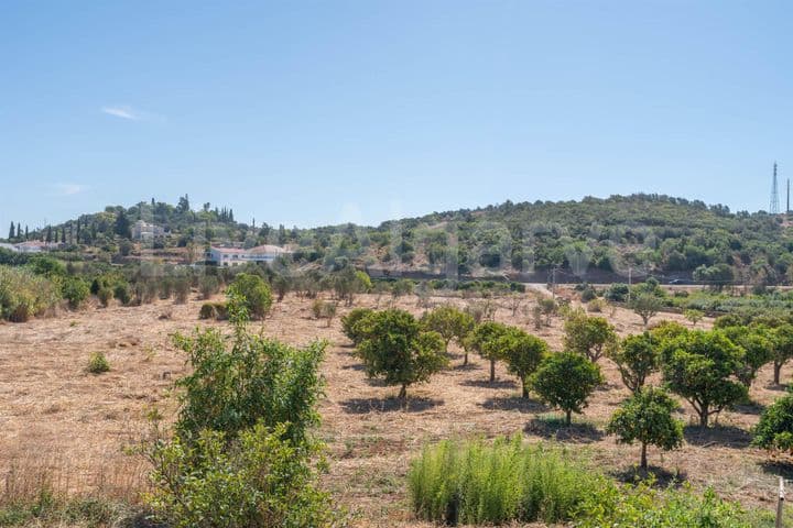 5 bedrooms house for sale in Mexilhoeira Grande, Portugal - Image 5