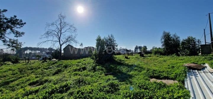 Other for sale in Fernao Ferro, Portugal - Image 9