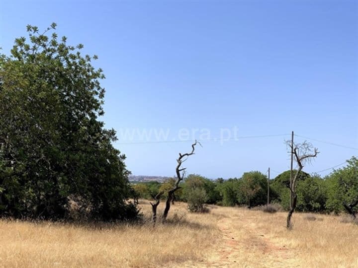 Other for sale in Santa Barbara De Nexe, Portugal - Image 7