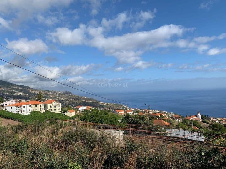 4 bedrooms house for sale in Estreito Da Calheta, Portugal - Image 6