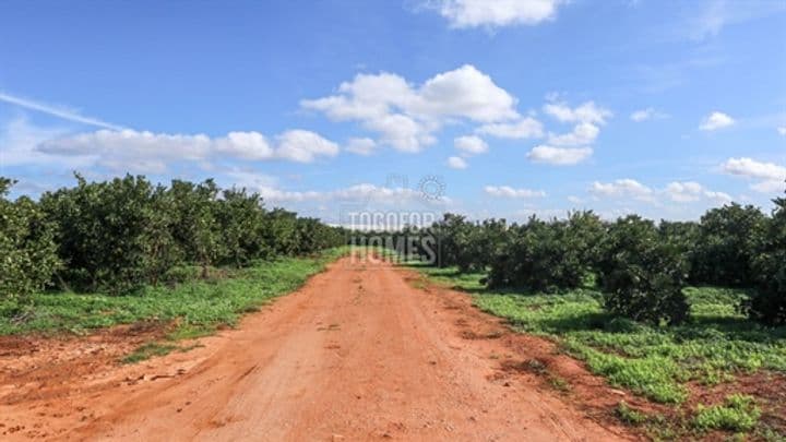 3 bedrooms house for sale in Silves, Portugal - Image 10