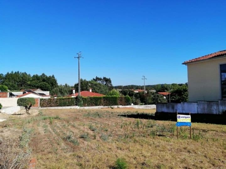 Other for sale in Souto de Carpalhosa e Ortigosa, Portugal - Image 6