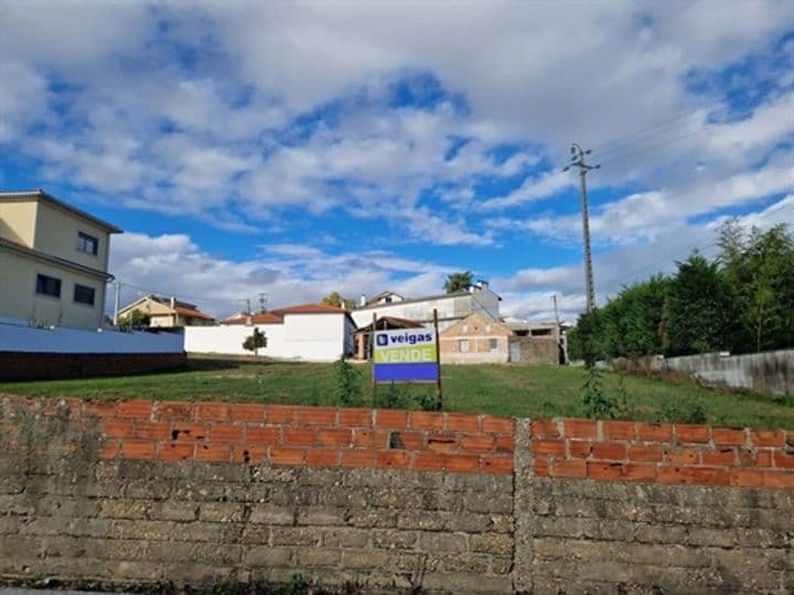 Other for sale in Souto de Carpalhosa e Ortigosa, Portugal - Image 9