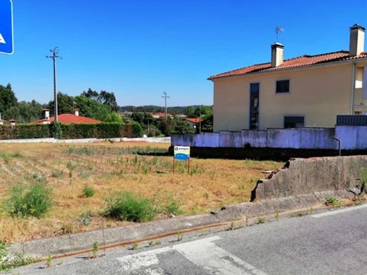 Other for sale in Souto de Carpalhosa e Ortigosa, Portugal - Image 8