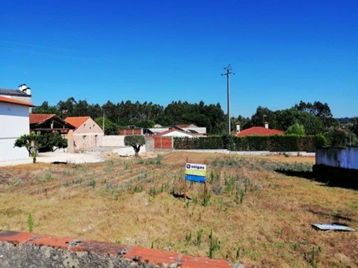 Other for sale in Souto de Carpalhosa e Ortigosa, Portugal - Image 7