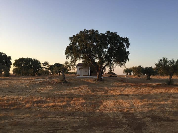 4 bedrooms house for sale in Ferreira do Alentejo e Canhestros, Portugal - Image 4