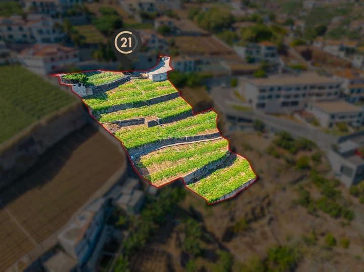 Other for sale in Camara De Lobos, Portugal - Image 9