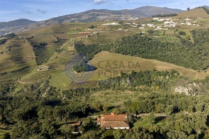 House for sale in Oliveira (Santa Maria), Portugal - Image 8