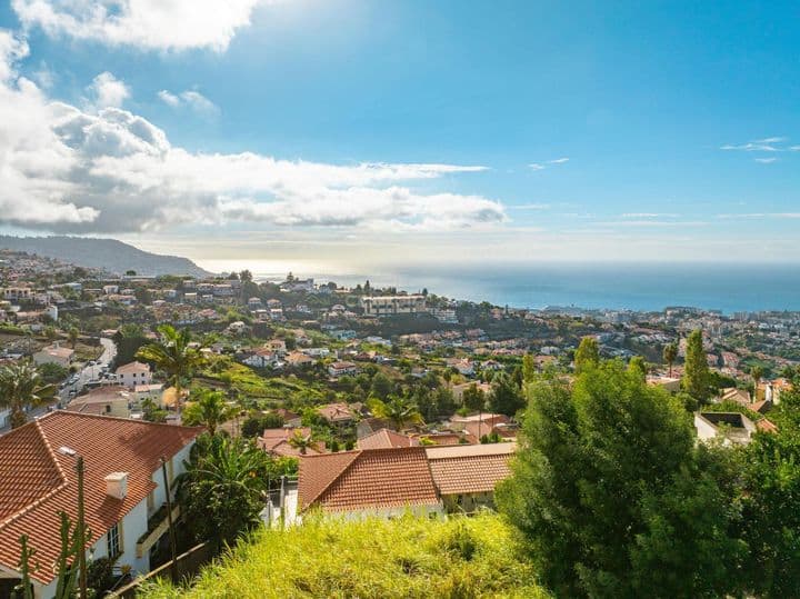 Other for sale in Sao Roque (Funchal), Portugal - Image 2