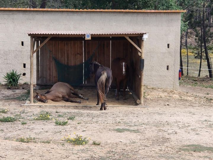 Other for sale in Aljezur, Portugal - Image 7