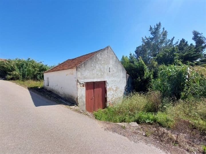 Other for sale in Salir De Matos, Portugal - Image 6