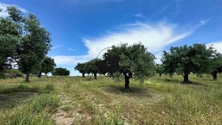 5 bedrooms house for sale in Ferreira do Alentejo e Canhestros, Portugal - Image 18