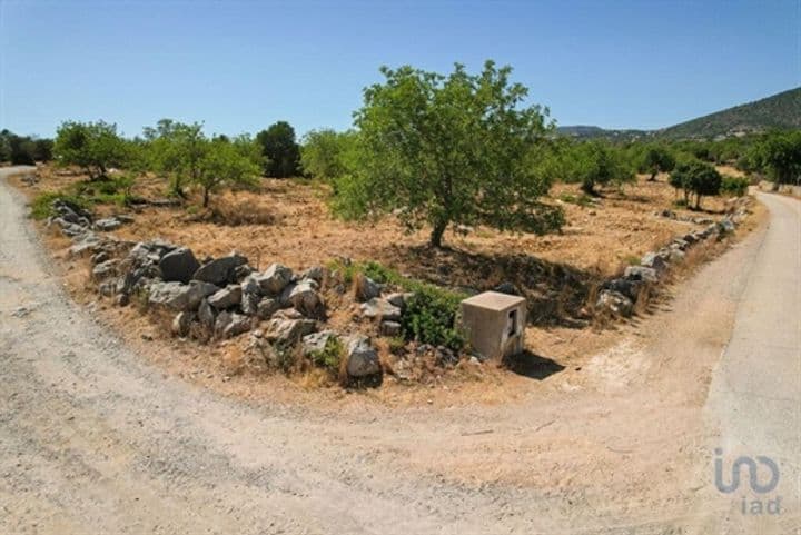 Other for sale in Santa Barbara De Nexe, Portugal - Image 6