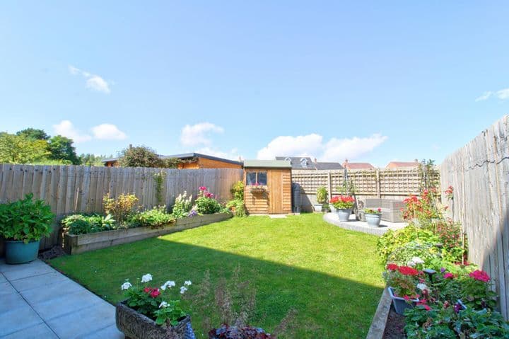 3 bedrooms house for sale in Morpeth, United Kingdom - Image 3